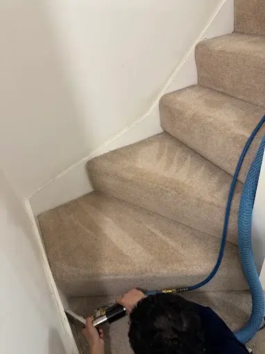 Carpet cleaning on a staircase