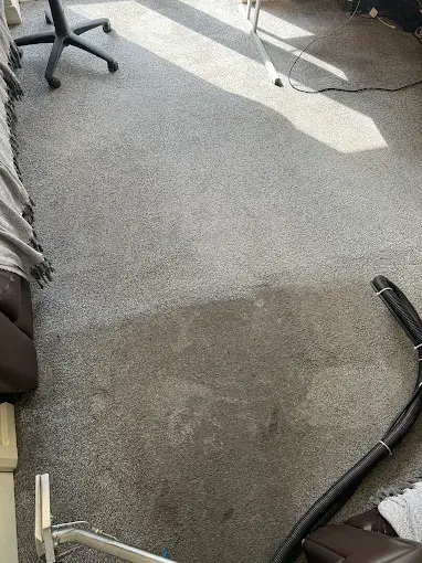 Hot water extraction cleaning a carpet in a home