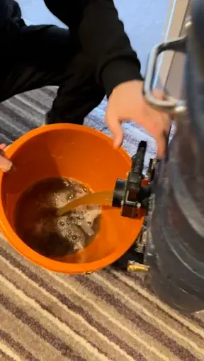 Dirty water extracted during a rug clean