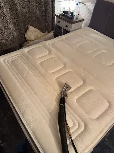 Extraction tool cleaning a white mattress
