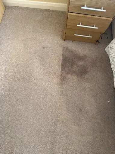 Bedroom carpet with a visibly marked area beside a cleaned section