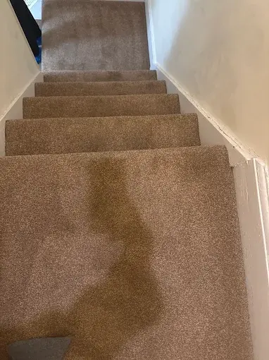 Brown carpeted stairs with visible dark staining on the landing