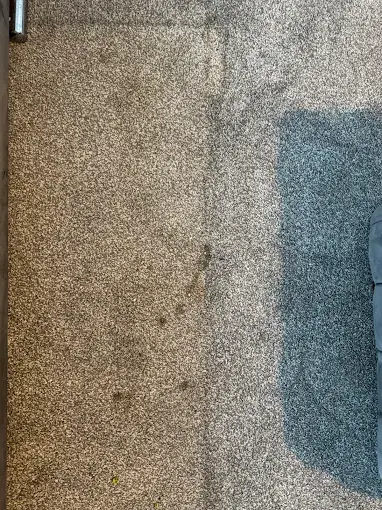Several visible marks on a grey carpet beside a sofa
