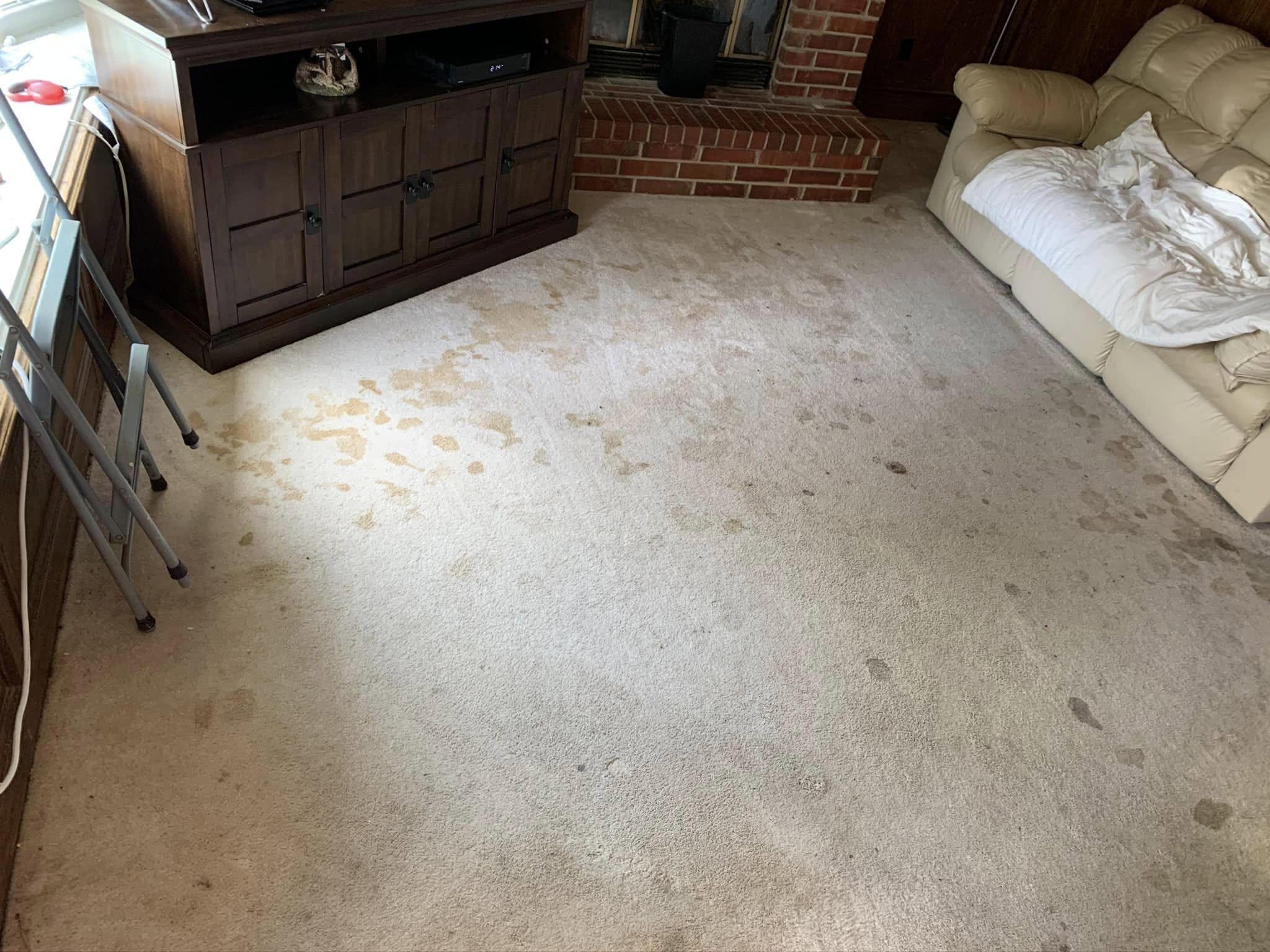 Living-room carpet with widespread visible staining before cleaning